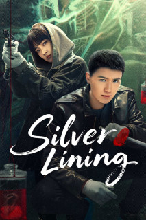 Già Vân - Silver Lining (2025) Già Vân - Silver Lining (2025)