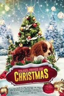 Quà Giáng Sinh Bất Ngờ - Project: Puppies for Christmas (2019) Quà Giáng Sinh Bất Ngờ - Project: Puppies for Christmas (2019)