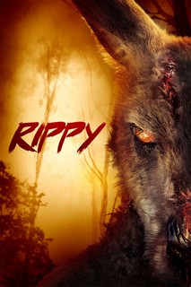 Rippy - Rippy (2024) Rippy - Rippy (2024)