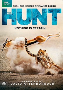 Săn Mồi - BBC: The Hunt (2015)