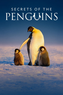 Secrets of the Penguins - Secrets of the Penguins (2025) Secrets of the Penguins - Secrets of the Penguins (2025)