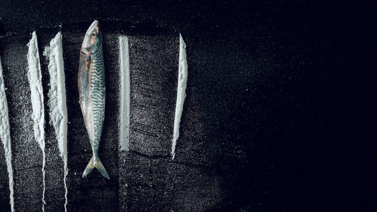 Sống Triều Đổi Vận: Câu Chuyện Siêu  Thực Tế Rabo de Peixe - Turn of the Tide: The Surreal Story of Rabo de Peixe