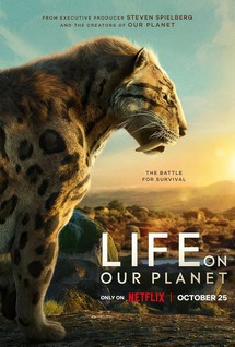 Sự sống trên hành tinh xanh - Life on Our Planet (2023) Sự sống trên hành tinh xanh - Life on Our Planet (2023)