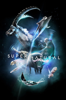 Super/Natural - Super/Natural (2022) Super/Natural - Super/Natural (2022)