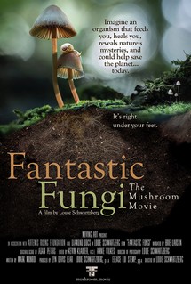 Thế giới nấm diệu kỳ - Fantastic Fungi (2019) Thế giới nấm diệu kỳ - Fantastic Fungi (2019)