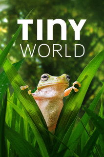 Thế Giới Siêu Nhỏ (Phần 2) - Tiny World (Season 2) (2021) Thế Giới Siêu Nhỏ (Phần 2) - Tiny World (Season 2) (2021)