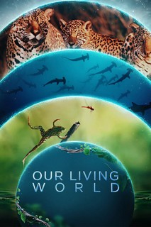Thế giới sống của chúng ta - Our Living World (2024) Thế giới sống của chúng ta - Our Living World (2024)