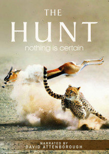 The Hunt - The Hunt (2015) The Hunt - The Hunt (2015)