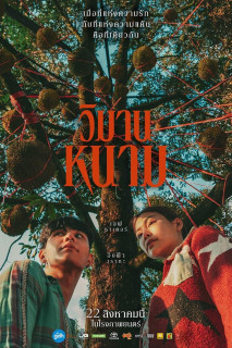 Thiên Đường Quả Báo - The Paradise of Thorns (2024) Thiên Đường Quả Báo - The Paradise of Thorns (2024)