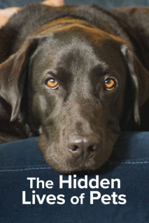 The Secret Life of Our Pets - The Secret Life of Our Pets (2022) The Secret Life of Our Pets - The Secret Life of Our Pets (2022)
