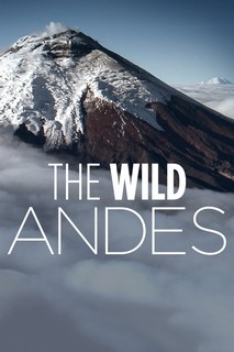 The Wild Andes - The Wild Andes (2018) The Wild Andes - The Wild Andes (2018)