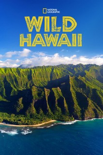 Thiên Nhiên Hoang Dã Hawaii - Wild Hawaii (2014) Thiên Nhiên Hoang Dã Hawaii - Wild Hawaii (2014)