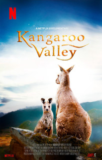 Thung lũng kangaroo - Kangaroo Valley (2022) Thung lũng kangaroo - Kangaroo Valley (2022)