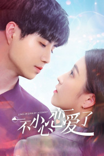 Tình Cờ Yêu Em - I Fell in Love By Accident (2020) Tình Cờ Yêu Em - I Fell in Love By Accident (2020)