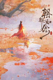Triều Triều Như Niệm - In the Name of Dawn (2025) Triều Triều Như Niệm - In the Name of Dawn (2025)