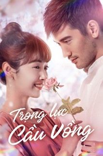 Trọng Lực Cầu Vồng - The Gravity Of The Rainbow (2019) Trọng Lực Cầu Vồng - The Gravity Of The Rainbow (2019)