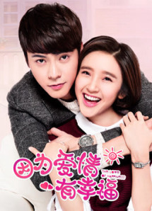 Vì Tình Yêu Nên Hạnh Phúc - The Love of Happiness (2016) Vì Tình Yêu Nên Hạnh Phúc - The Love of Happiness (2016)