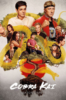 Võ Đường Cobra Kai (Phần 3) - Cobra Kai (Season 3) (2021) Võ Đường Cobra Kai (Phần 3) - Cobra Kai (Season 3) (2021)