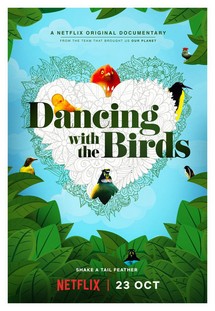 Vũ điệu của loài chim - Dancing with the Birds (2019) Vũ điệu của loài chim - Dancing with the Birds (2019)