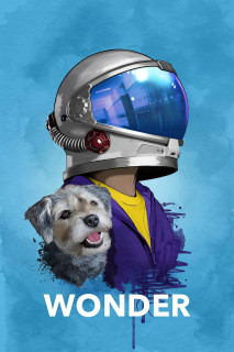 Wonder - Wonder (2017) Wonder - Wonder (2017)